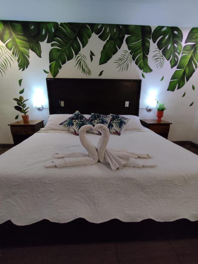 Hotel Cafenaranja Xilitla Kültér fotó
