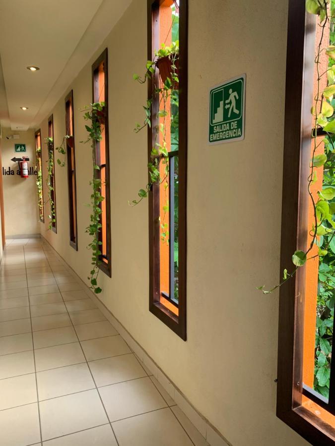 Hotel Cafenaranja Xilitla Kültér fotó